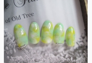 ネイルデザイン #2272