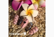 ネイルデザイン #2387